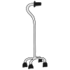 Cane