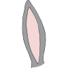 Rabbit Ear