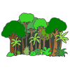 Rainforest