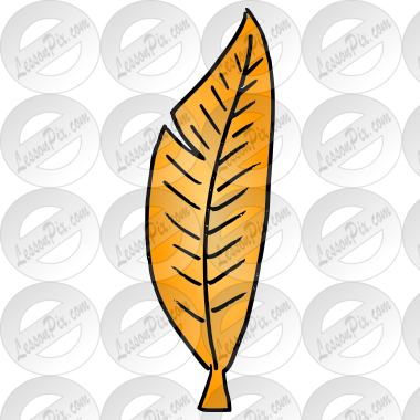 Feather
