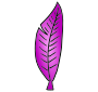 Feather