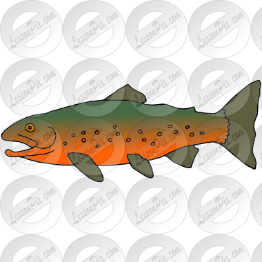 Arctic Char