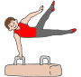 Pommel Horse Picture