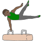 Pommel Horse Picture