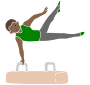 Pommel Horse