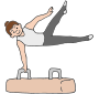 Pommel Horse Picture