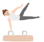 Pommel Horse