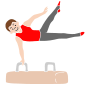 Pommel Horse