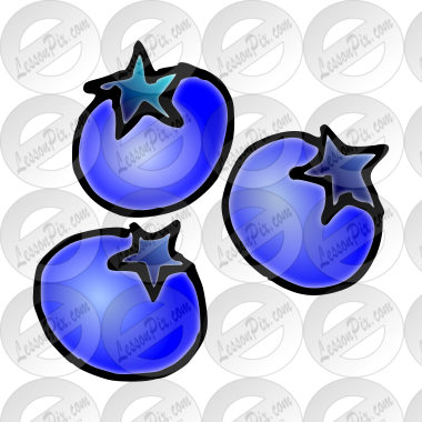 Blueberries