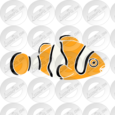 Clownfish