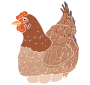 Hen Stencil