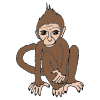 Monkey Picture