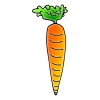 Carrot Picture