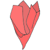 Tissue Paper
