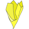 Tissue Paper
