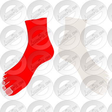 Left Foot