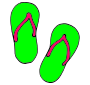 Flip Flops