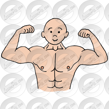 Muscles
