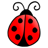 Ladybug Picture