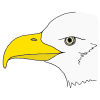 Beak