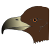Beak