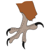 Claw