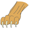 Claw