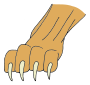 Claw