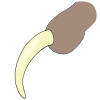Claw
