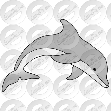 Dolphin
