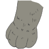 Paw