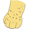 Paw