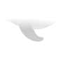 Flipper