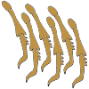 Insect Legs