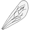 Wing