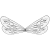 Insect Wings