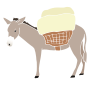 Mule