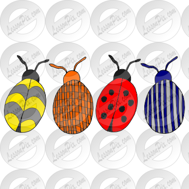 Pattern Bugs
