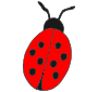 Ladybug