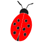 Ladybug Stencil