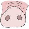 Snout