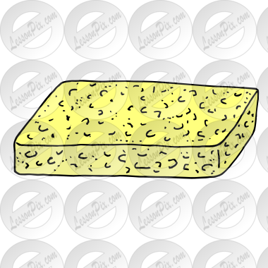 Sponge