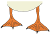 Webbed Feet