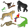 Jungle Animals Picture