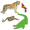 Jungle Animals Picture