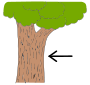 Bark