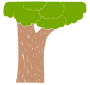 Bark