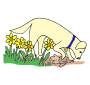 Dig