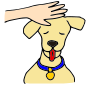 Pet