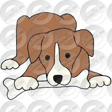 Dog with Bone  Picture